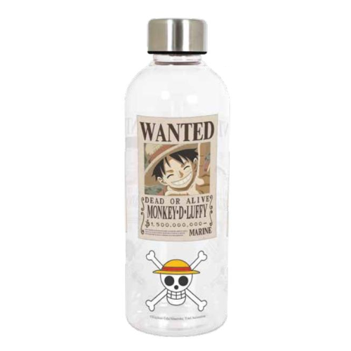 Bouteille Hydro One Piece Arc Wano