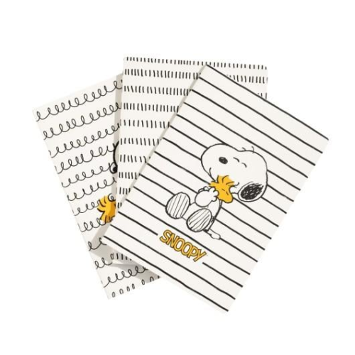 Lot de 3 Carnets Snoopy A5