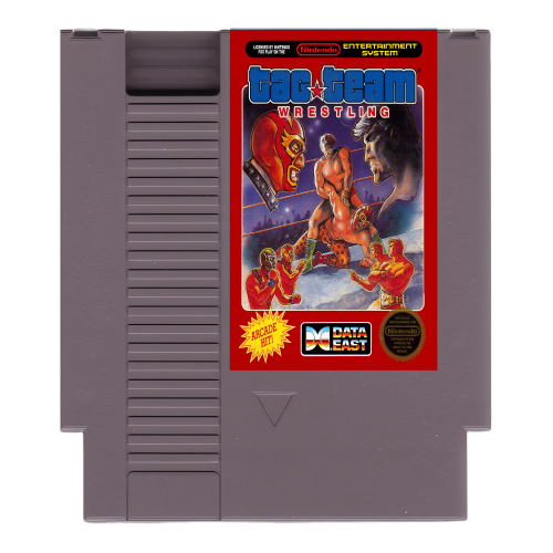 Tag Team Wrestling NES