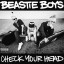 Vinyle Beastie Boys - Check Your Head (neuf)