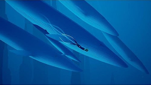 Abzu (3)