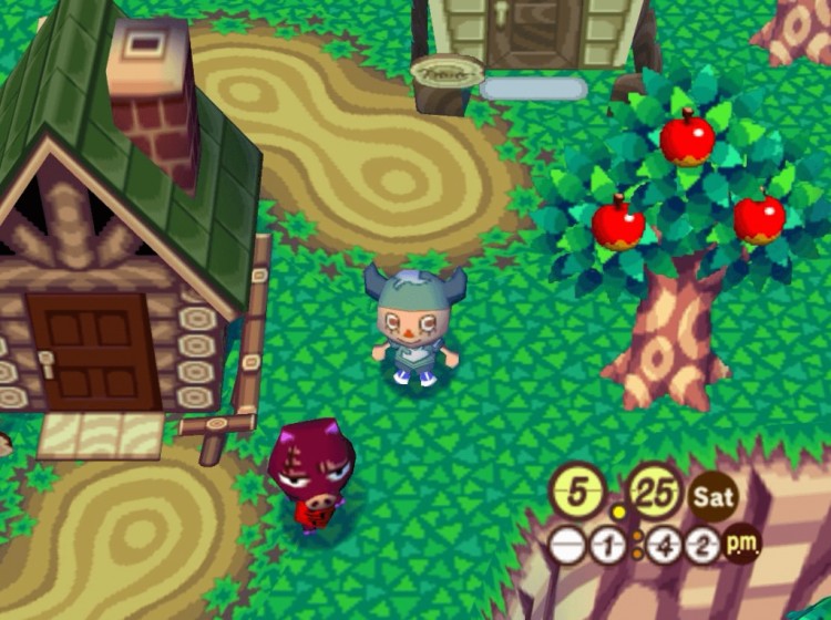 Animal crossing 2