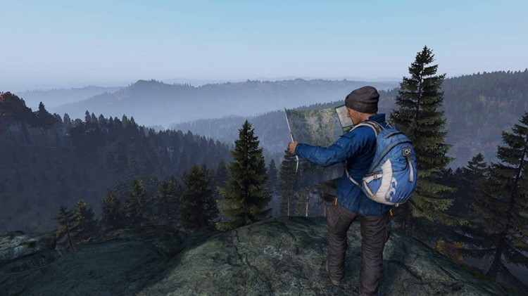 DAYZ 1