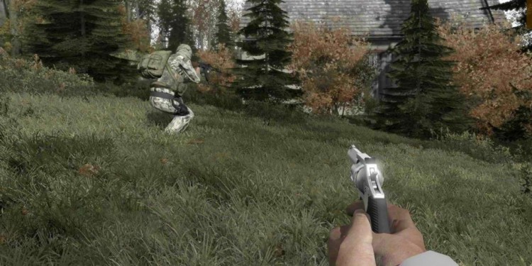 DAYZ 5