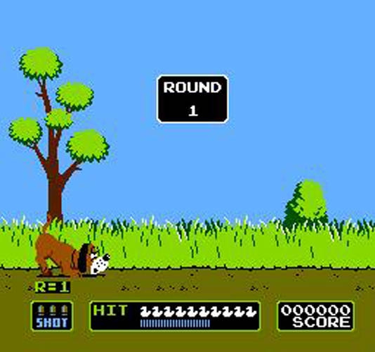 DUCK HUNT 1