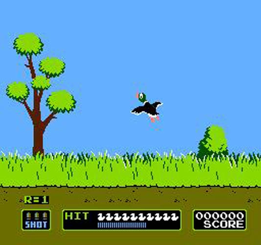 DUCK HUNT 2