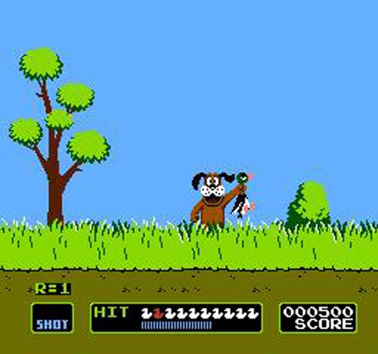 DUCK HUNT 3