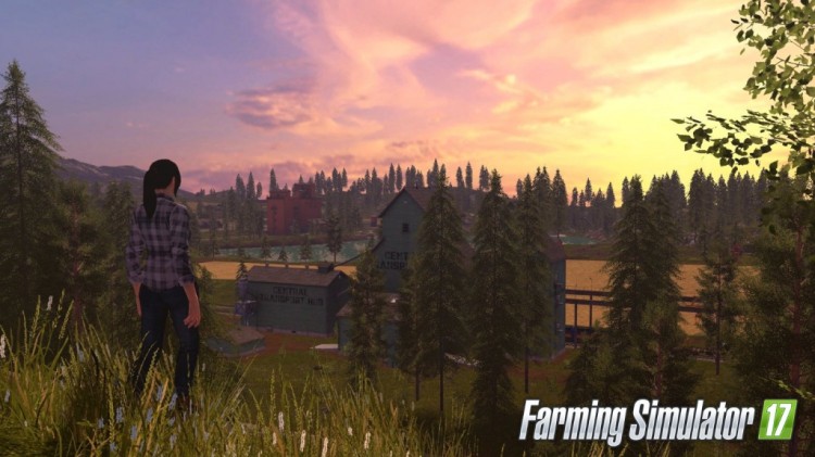 Farm Simulator 17 (4)