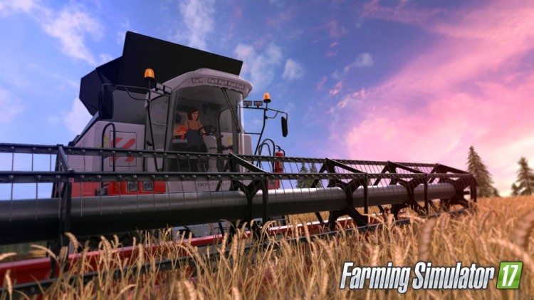 Farm Simulator 17 (5)