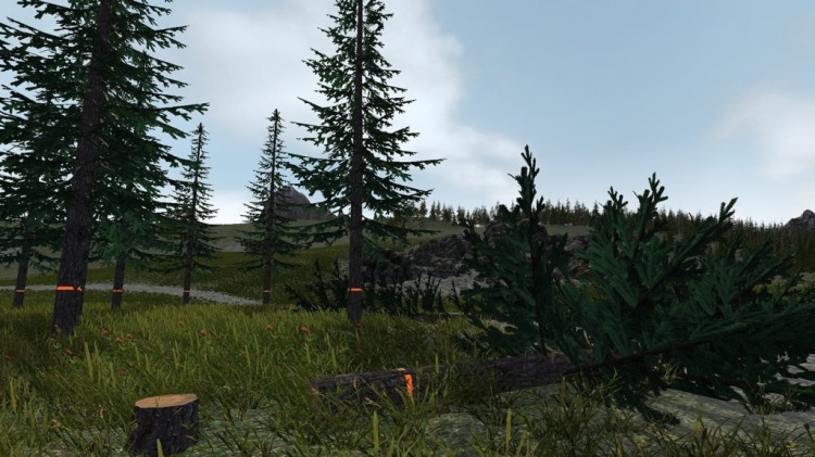 Forestry simulator 2017 (1)