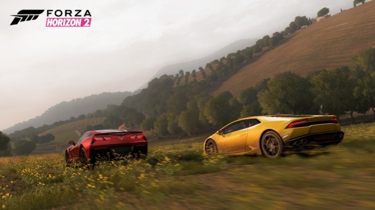 forza horizon screen2