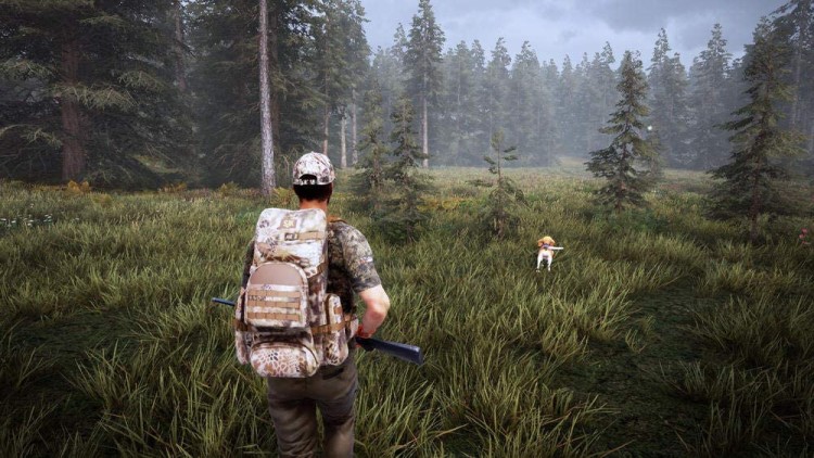 Hunting Simulator 2 3