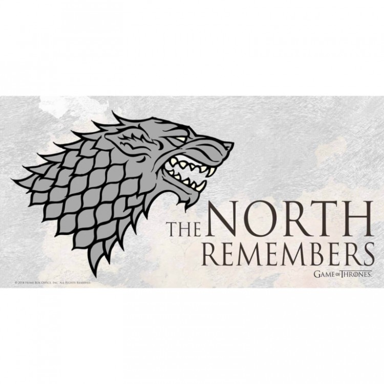 IMPRESSION VERRE GAME OF THRONES THE NORTH REMEMBER 1