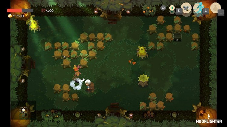 Moonlighter 3