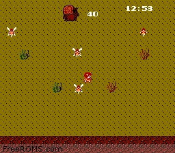 nes labyrinth 2