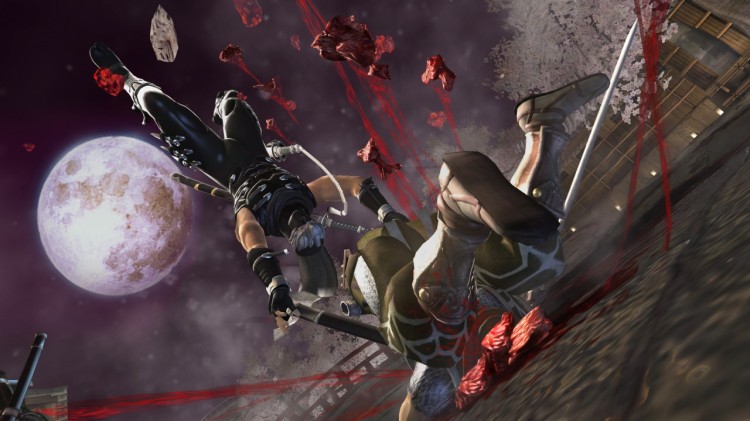 ninja gaiden 2 screen3