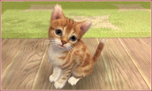 nintendogs and cats screen2