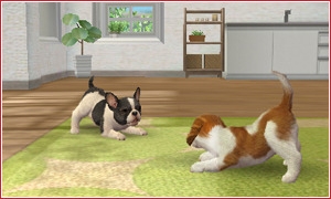 nintendogs and cats screen3