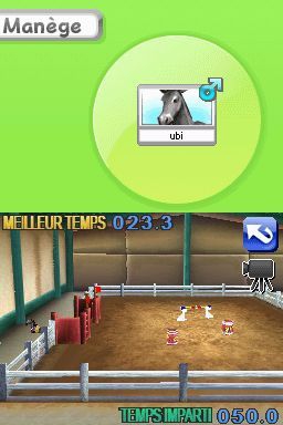 petz ma famille poulains nintendo ds 019