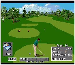 PGA TOUR 96 1