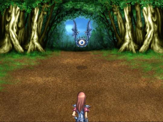 PHANTASY STAR GENERATION 1 3