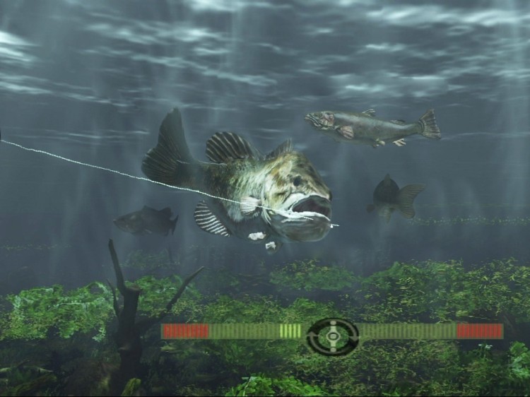 Rapala Fishing Frenzy screen1