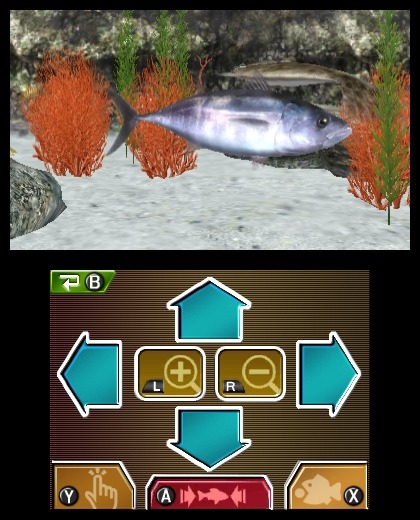 reel fishing paradise 3d nintendo 3ds 1307623946 002