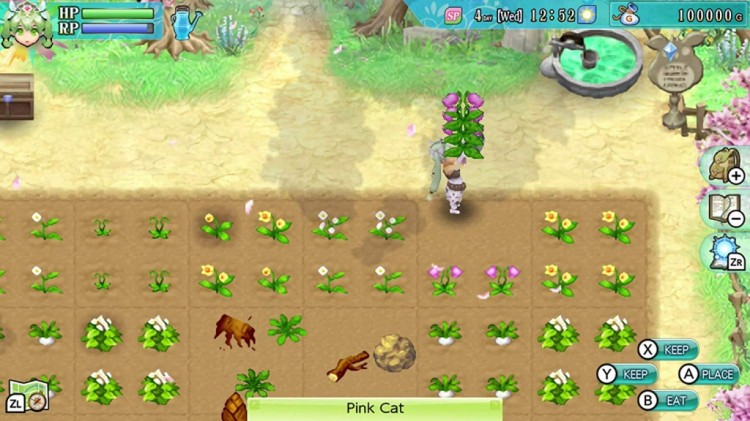 Rune Factory 4 3