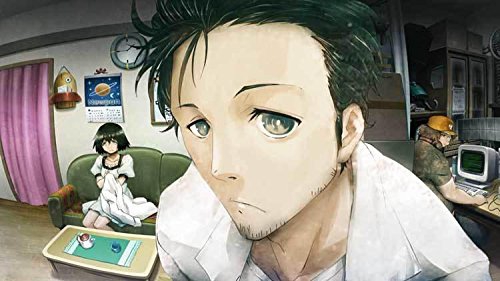 screen steins gate