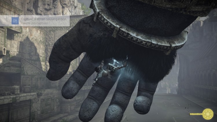 SHADOW OF THE COLOSSUS 4