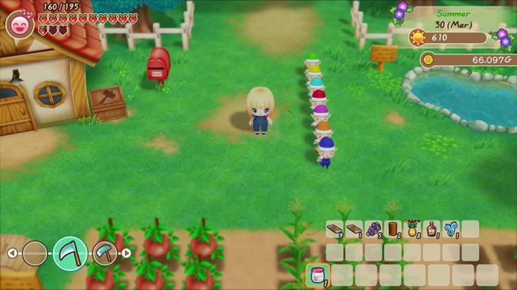 Story of Seasons Friends of Mineral Town 2