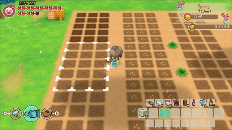 Story of Seasons Friends of Mineral Town 3