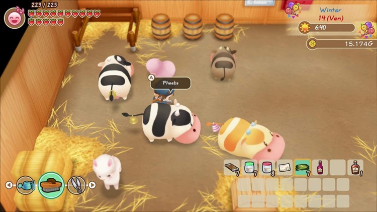 Story of Seasons Friends of Mineral Town 4