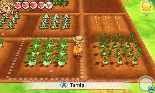 Story of seasons trio of town (3)