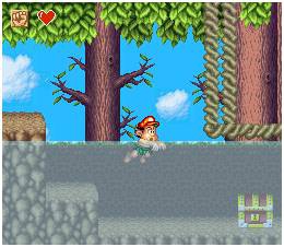 Super Adventure Island Super Nintendo (3)