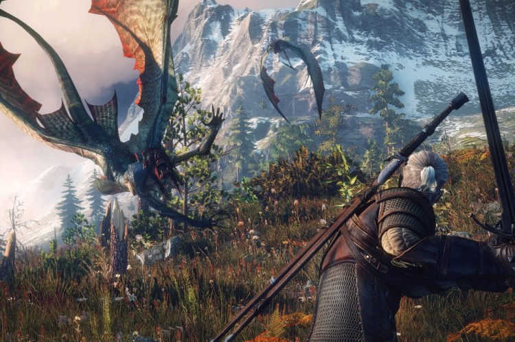 The Witcher 3 Wild Hunt 1