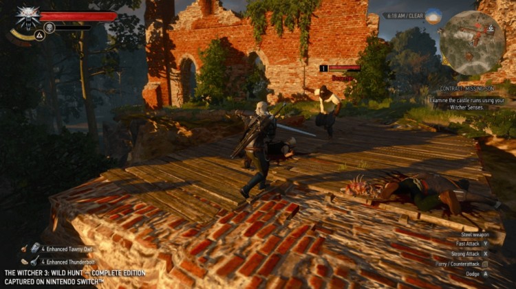 The Witcher 3 Wild Hunt 5