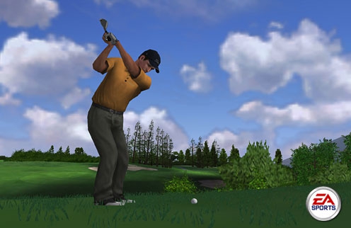 TIGER WOODS PGA TOUR 2