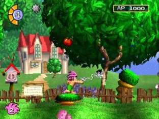 tombi4