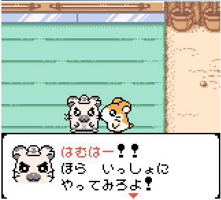 TOTTOKO HAMTARO 2 1