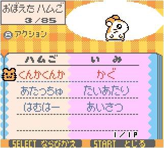 TOTTOKO HAMTARO 2 3