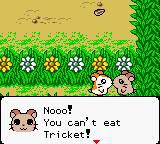 TOTTOKO HAMTARO 2 4