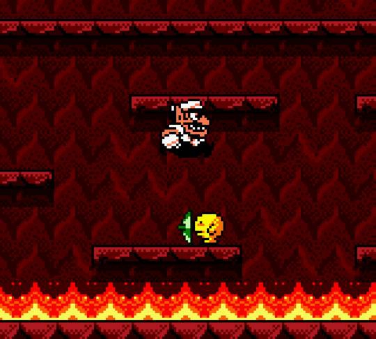 WARIO LAND 3 COLOR 2