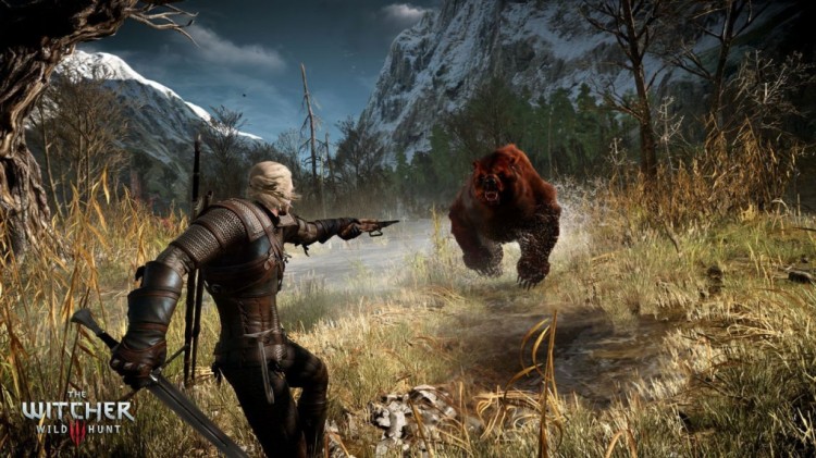 witcher 3 screen2