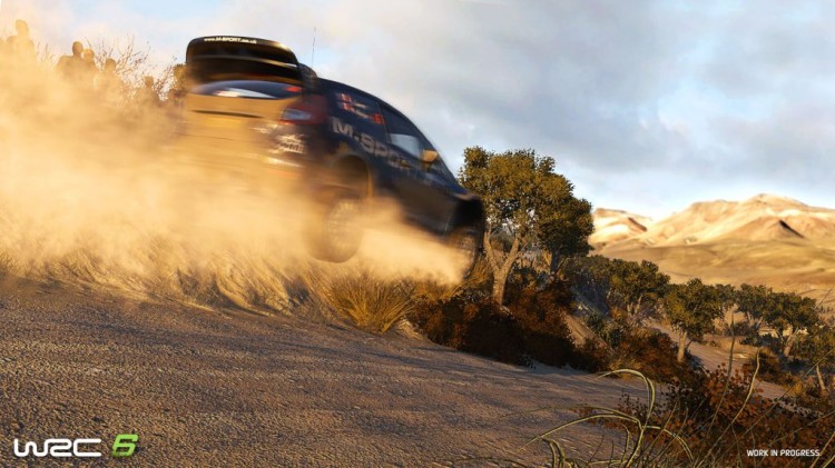 WRC 6 (2)