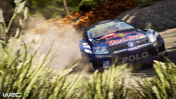 WRC 6 (5)