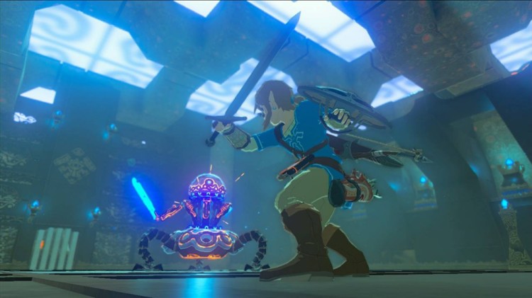 Zelda BotW (8)